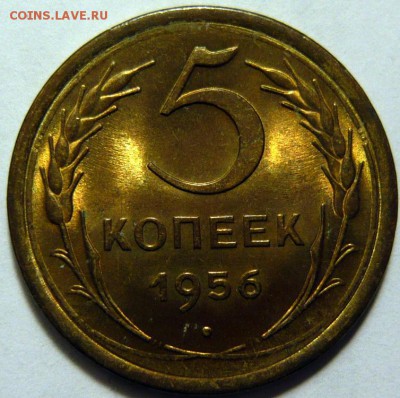 5 копеек 1952,53,56 UNC - P1180517.JPG