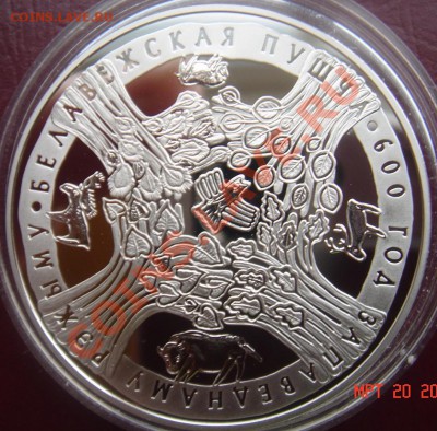 Рубль Белоруссии "Беловежская пуща" до 29.03.11 22-00 - DSC03173.JPG