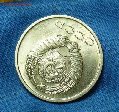 UNC Оборотная - P1430996.JPG