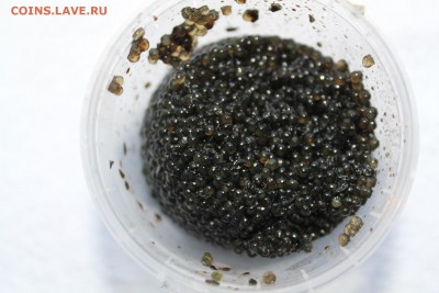 Икра, краб и другие морепродукты - IMG_6954.JPG