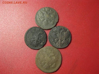 лот денги 1730,31 года - IMG_8977.JPG