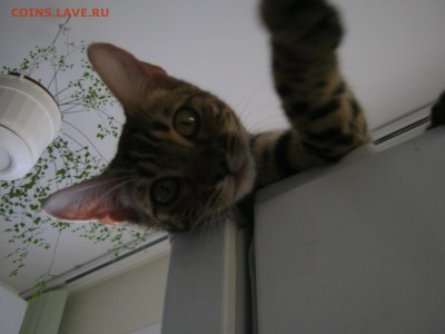 Стихи на заданную тему - IMG_4298[1].JPG
