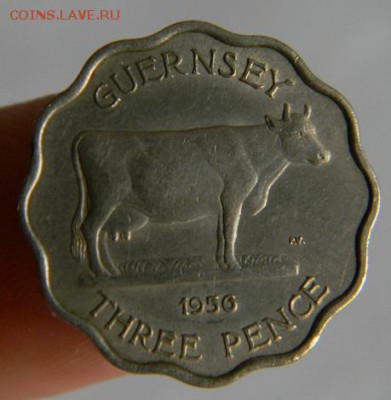 3 пенса гернси 1956 - DSCN1851.JPG