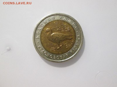 КК Краснозобая Казарка  с 200р. до 22.12.17 22.00 - IMG_8425.JPG
