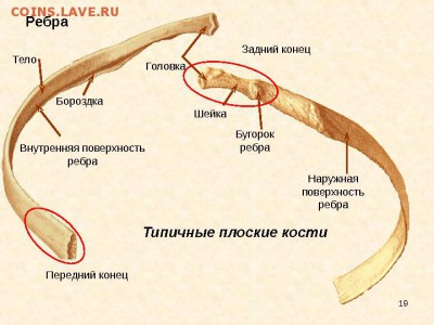 10 рублей 1993 ЛМД Немагнитные до 21.12.2017 22-00 по МСК - osteolog_part_two_18