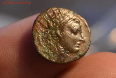 Антика. Селевкиды - CSC_0211.JPG