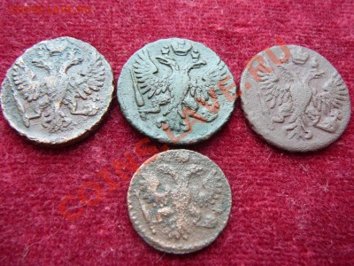 денга 1748,49,50 полушка1736г до 26.03 в22-00 по мск - P1250930.JPG