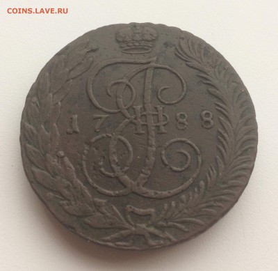 Пятачок 1788 ТМ - 1