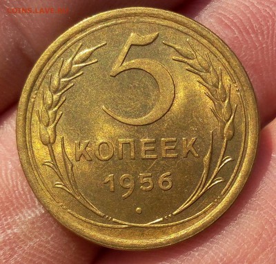 5 КОПЕЕК 1956г UNC шт блеск - на сутки - IMG_20171221_151409.JPG