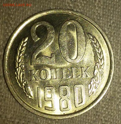 20 копеек 1981.80 штемпельный БЛЕСК до 25.12.2017 в22-00 мск - 20170206_143041 [1024x768]