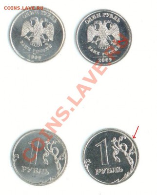 фото - image0