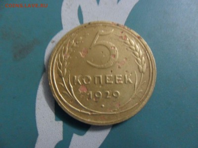 5 копеек 1929 год - 73336004
