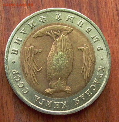 Красная книга, Рыбный филин 1991г. до 27.12. - 025.JPG