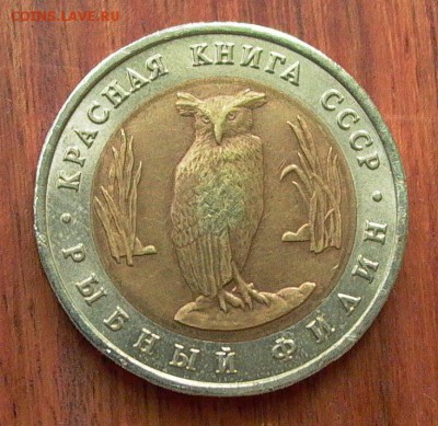 Красная книга, Рыбный филин 1991г. до 27.12. - 024.JPG