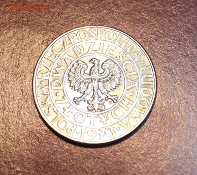 20 злотых 1973 года Дерево (проба), Польша - IMG_0747_cr