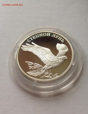 КК , 1 рубль 2007г.(степной лунь), Ag925 , до 30.12.17г.. - 1-2007-5