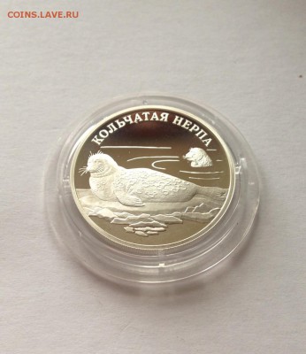 КК , 1 рубль 2007г.(кольчатая нерпа), Ag925 , до 30.12.17г.. - 1-2007