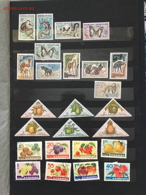 марки ссср и заруб сто  более 1000шт до 30,12 - IMG_1119.JPG