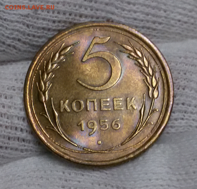 5 копеек 1956 ХОРОШИЙ - 2017-12-26 18.57.25
