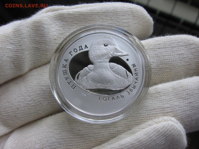Беларусь, 1 руб. 2016 Гоголь Птица года 30.12 22.00 - IMG_5205.JPG