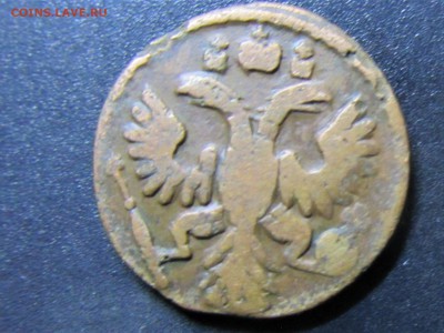 полушка 1735 года - полушка1.JPG