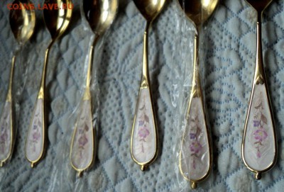 Десертный набор из 13 предметов в эмали ок .29.12  23-00 мск - DSC04191.JPG