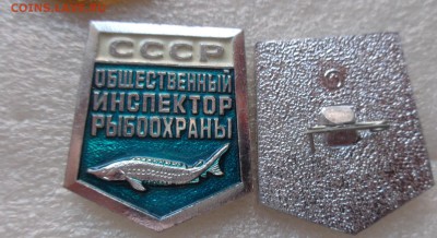 Общественный рыбинспектор СССР до 2.1.18 в 22-00 мск - DSC05387.JPG