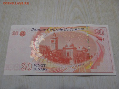 ТУНИС  20  динаров  2011 г : до ухода в архив - IMG_0641.JPG
