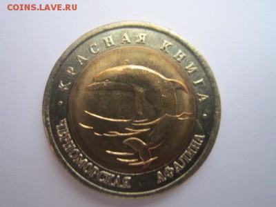 КК АФАЛИНА 50 руб 1993 до 03.01.2018 в 22:30 - IMG_8072.JPG