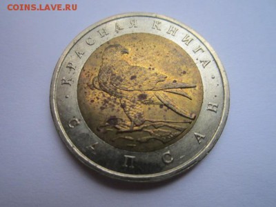 КК САПСАН 50 руб 1994 до 03.01.2018 в 22:30 - IMG_8081.JPG