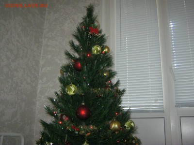 С Наступающим Новым Годом! - IMG_4331[1].JPG