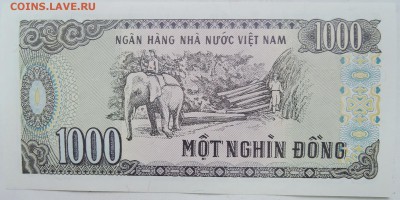 ВЬЕТНАМ - 1000 донгов 1988 г. пресс до 04.01 в 22.00 - DSCN2036.JPG