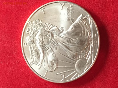 Шагающая Свобода,2014 г. - 1C711148-FFA8-42C7-8C5B-42667BB10326
