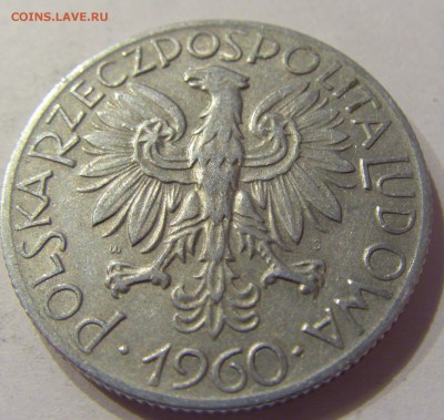 5 злотых 1960 Польша №1 05.01.2018 22:00 МСК - CIMG6365.JPG