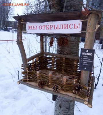 веселые картинки - 10809453