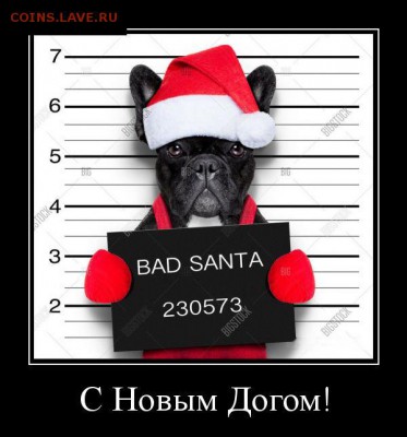 делает - прямо сейчас !!! - demotivq