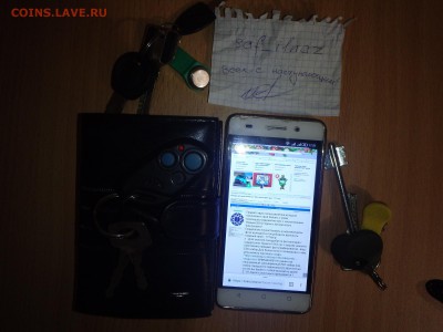 р - PC310001.JPG