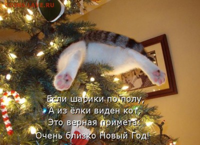 Успей поздравить первым! - 1419614700_10-www.radionetplus.ru