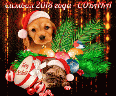 У кого уже Новый Год? Отмечайтесь! - 917582195