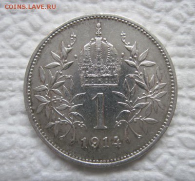 1 корона Ав-Венгрия 1914 до 03.01.18 - IMG_5544.JPG