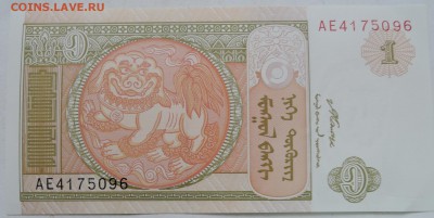 МОНГОЛИЯ - 1 тугрик 2008 г. пресс до 08.01 в 22.00 - DSCN2071.JPG