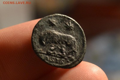 Рим.Капитолийская Волчица 4 век.07.01.2018 22:00 - CSC_0064.JPG