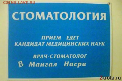 хирург -  травматолог - в