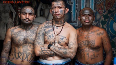 Про США - ms13