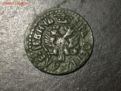 Полушки изучаю интерес - IMG_3997.JPG