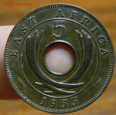 5 центов восточная африка 1955 - DSCN2980.JPG