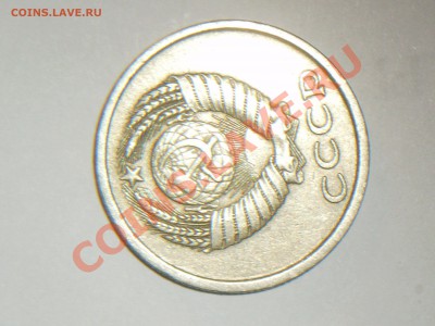 20к 82 г короткая ость - увл 1