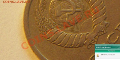 20к 82 г короткая ость - увл 3