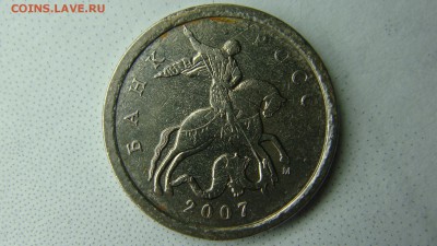 Вопросы по разновиднстям от сахарок - DSC02458.JPG