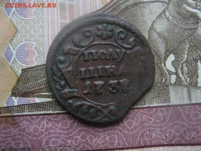 Полушка 1737г. Кладовая. До 11.01.2018г. - 006.JPG
